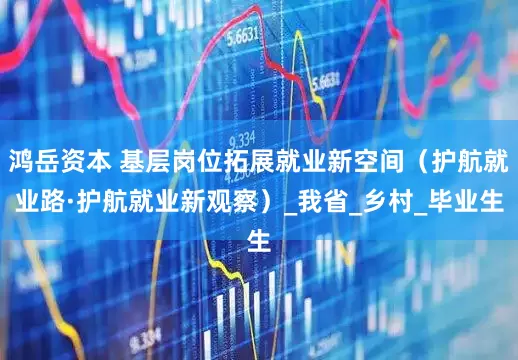 鸿岳资本 基层岗位拓展就业新空间（护航就业路·护航就业新观察）_我省_乡村_毕业生